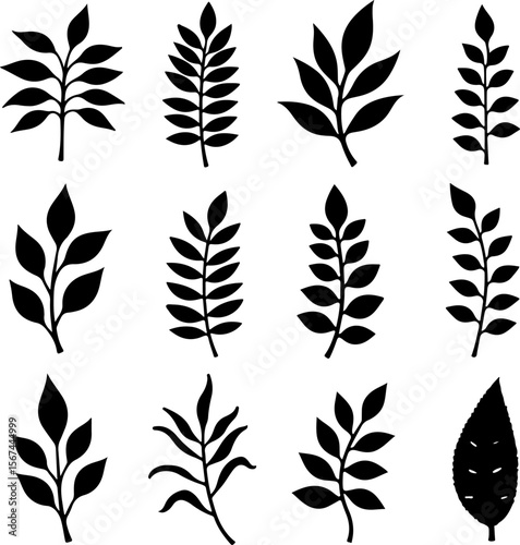 set of black leaves, feather, vector, bird, illustration, pattern, leaf, art, pen, design, nature, decoration, silhouette, set, plant, symbol, quill, vintage, icon, seamless, drawing, wing, color, bla