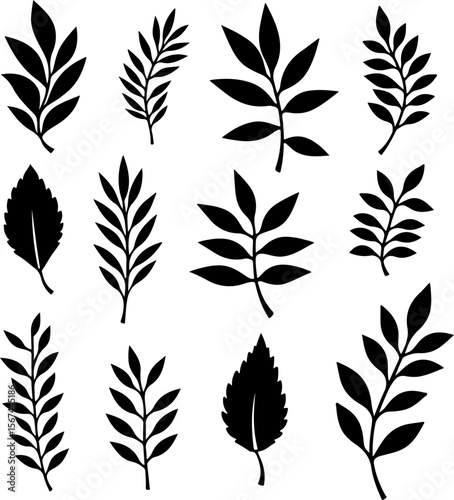 set of black leaves, feather, vector, bird, illustration, pattern, leaf, art, pen, design, nature, decoration, silhouette, set, plant, symbol, quill, vintage, icon, seamless, drawing, wing, color, bla