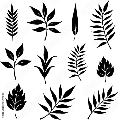 set of black leaves, feather, vector, bird, illustration, pattern, leaf, art, pen, design, nature, decoration, silhouette, set, plant, symbol, quill, vintage, icon, seamless, drawing, wing, color, bla