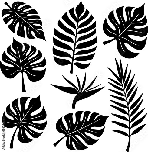 set of black leaves, feather, vector, bird, illustration, pattern, leaf, art, pen, design, nature, decoration, silhouette, set, plant, symbol, quill, vintage, icon, seamless, drawing, wing, color, bla