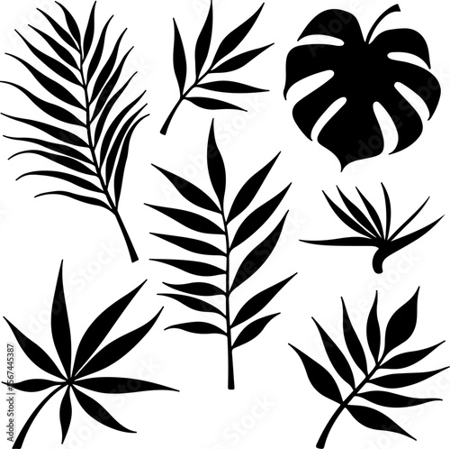 set of black leaves, feather, vector, bird, illustration, pattern, leaf, art, pen, design, nature, decoration, silhouette, set, plant, symbol, quill, vintage, icon, seamless, drawing, wing, color, bla