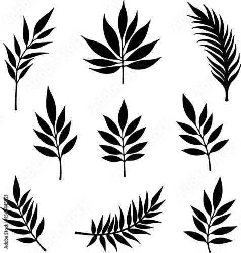 set of black leaves, feather, vector, bird, illustration, pattern, leaf, art, pen, design, nature, decoration, silhouette, set, plant, symbol, quill, vintage, icon, seamless, drawing, wing, color, bla