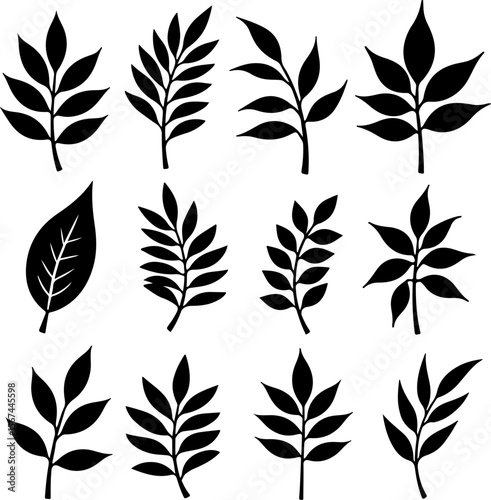 set of black leaves, feather, vector, bird, illustration, pattern, leaf, art, pen, design, nature, decoration, silhouette, set, plant, symbol, quill, vintage, icon, seamless, drawing, wing, color, bla
