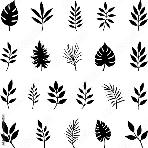set of black leaves, feather, vector, bird, illustration, pattern, leaf, art, pen, design, nature, decoration, silhouette, set, plant, symbol, quill, vintage, icon, seamless, drawing, wing, color, bla