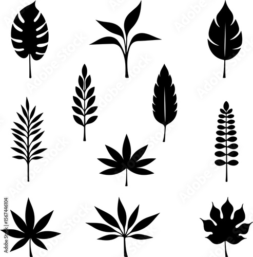 set of black leaves, feather, vector, bird, illustration, pattern, leaf, art, pen, design, nature, decoration, silhouette, set, plant, symbol, quill, vintage, icon, seamless, drawing, wing, color, bla