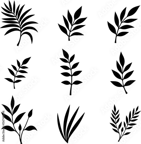 set of black leaves, feather, vector, bird, illustration, pattern, leaf, art, pen, design, nature, decoration, silhouette, set, plant, symbol, quill, vintage, icon, seamless, drawing, wing, color, bla