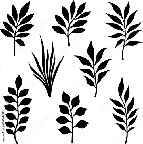 set of black leaves, feather, vector, bird, illustration, pattern, leaf, art, pen, design, nature, decoration, silhouette, set, plant, symbol, quill, vintage, icon, seamless, drawing, wing, color, bla