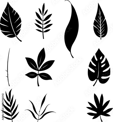 set of black leaves, feather, vector, bird, illustration, pattern, leaf, art, pen, design, nature, decoration, silhouette, set, plant, symbol, quill, vintage, icon, seamless, drawing, wing, color, bla