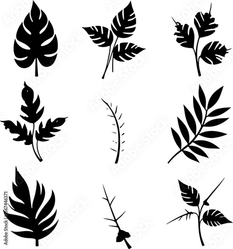set of black leaves, feather, vector, bird, illustration, pattern, leaf, art, pen, design, nature, decoration, silhouette, set, plant, symbol, quill, vintage, icon, seamless, drawing, wing, color, bla