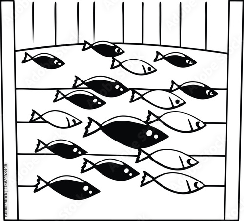 fish on a white
