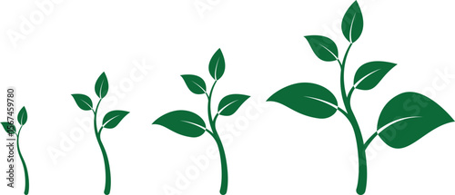 Set of growing plant icons representing eco-friendly growth stages, sustainable agriculture development, organic farming progress with transparent background