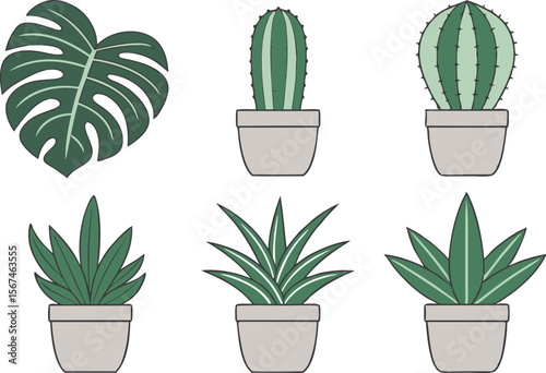 House Plants Clipart Set for Home and Garden Designs. Decorative House Plants Clipart Collection for Digital and Print. Indoor House Plants Clipart for Lifestyle and Botanical Projects. Green House