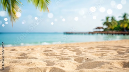 Fototapeta Naklejka Na Ścianę i Meble -  Serene beach scene with soft sand, palm trees, and a blurred ocean view.