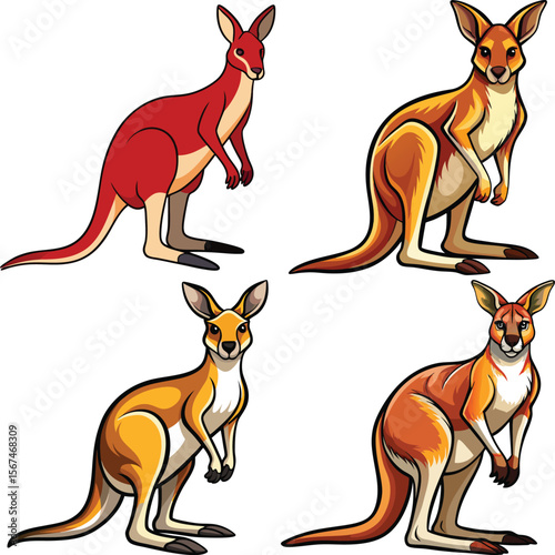 Four cartoon kangaroos in different colors and poses on a white background