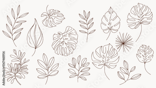 Minimalist Line Art Tropical Foliage Vector Set – Monstera Palm Eucalyptus Leaf Outlines for Design, Branding, Stationery