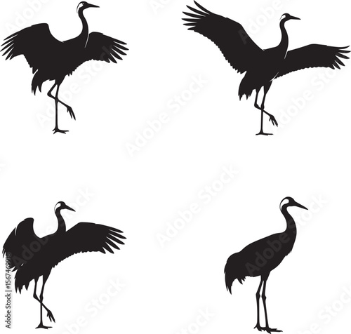  Crane Silhouette