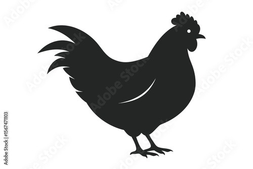 Black Silhouette of a Chicken Standing on a White Background