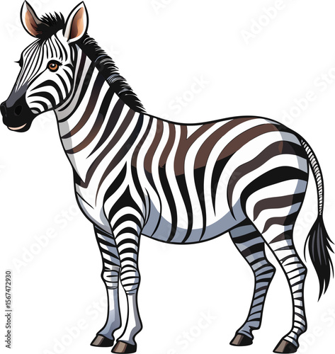 A charming cartoon illustration of a zebra standing gracefully on a white background