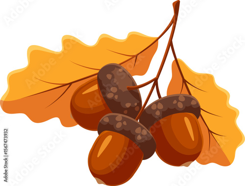 Cartoon autumn acorns with brown caps and shiny bodies lying over two yellow orange oak leaves, small, nut like brown seeds from oak trees. Isolated vector fallen forest foliage, woodland fall plant