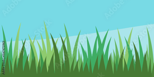 Green grass vector illustration on a white background, evoking fresh spring growth in a natural garden landscape