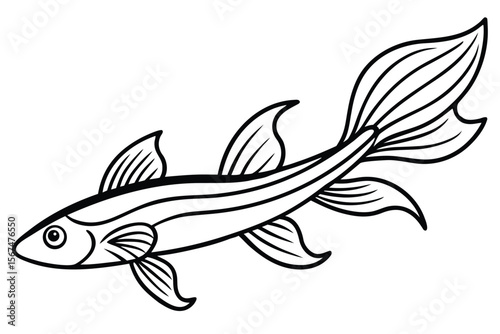 Stylized black and white illustration of a flowing fish with delicate fins vector