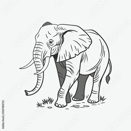 elephant vector illustration
