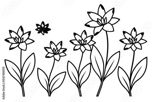 Minimalist black and white botanical illustration of blooming flowers vector