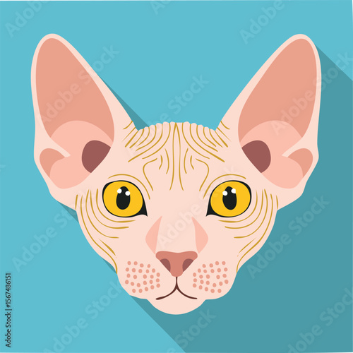 Cute sphynx cat flat vector