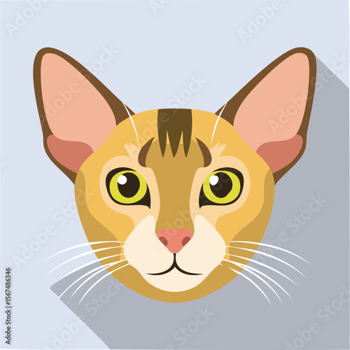 Cute oriental shorthair cat flat vector