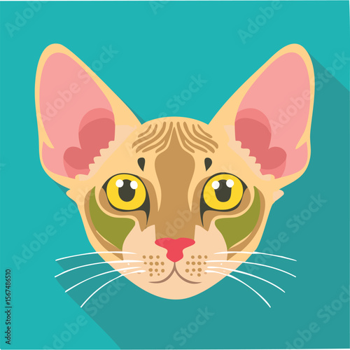 Cute peterbald cat flat vector