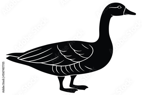 Black goose standing profile simple vector illustration white bird
