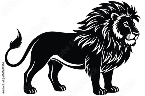 Black male lion profile majestic mane powerful stance white