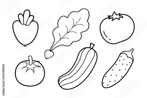 Line art vegetables beet tomato cucumber radish lettuce vector