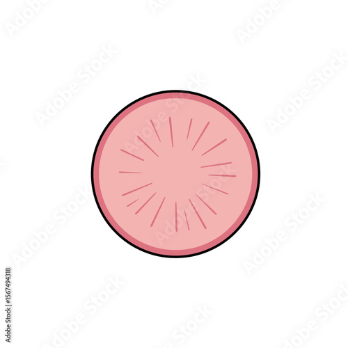 Sliced radish on a transparent background copy space