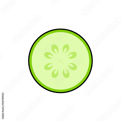 Sliced zucchini with seeds on a transparent background, fresh green colors, copy space