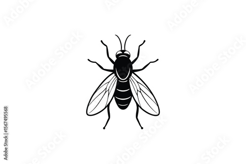 Simple Black and White Fly Illustration on a White Background
