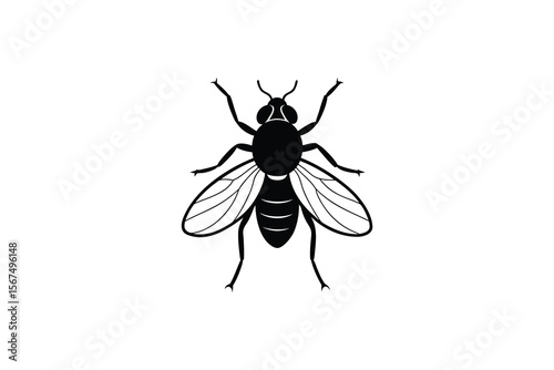 Simple Black Silhouette Illustration of a Fly on a White Background