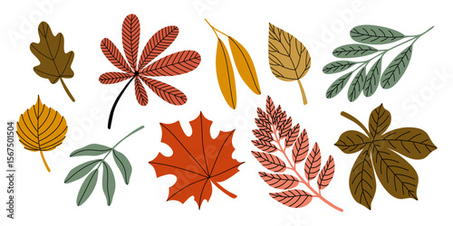 Flat vector illustration of a hand drawn set of colorful autumn leaves in various shapes and sizes. Isolated on a white background. Perfect for seasonal, nature, or decorative designs.