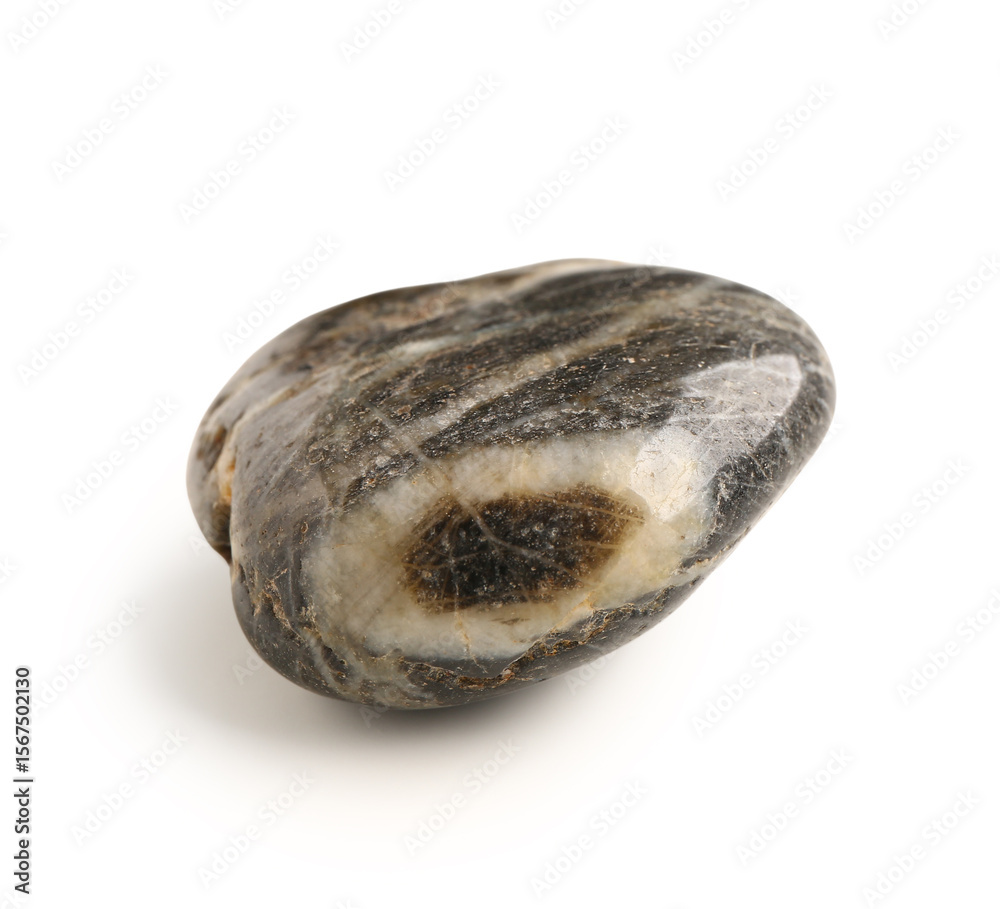 Obraz premium Beautiful brown pebble stone on white background