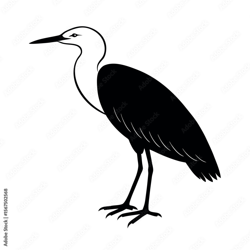 Fototapeta premium Cattle Egret Bird Vector Drawing