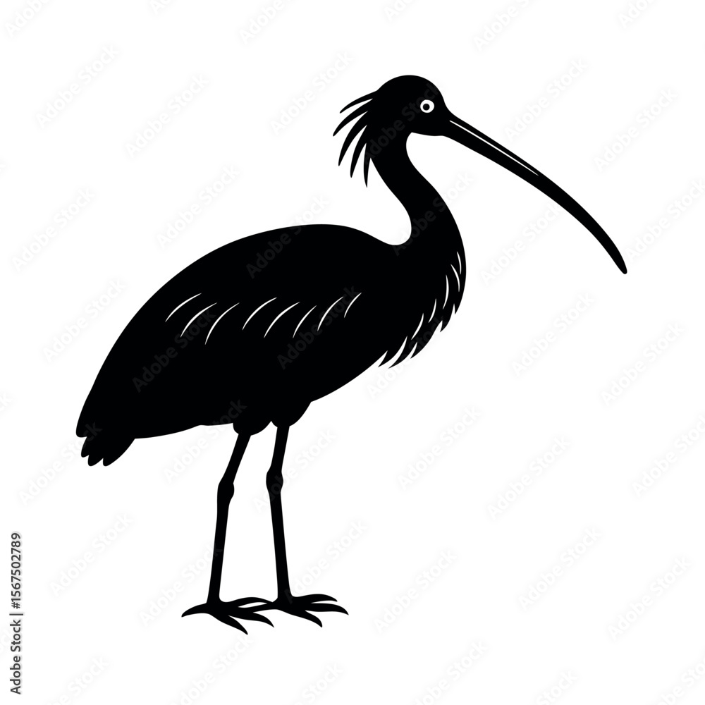 Obraz premium Eurasian Spoonbill Flying Bird Vector