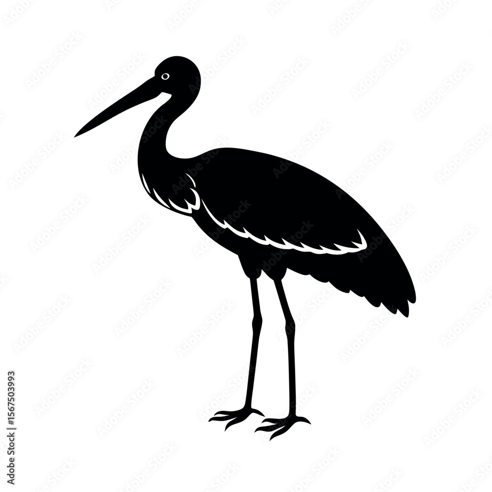 Fototapeta premium Woolly Necked Stork Line Art Vector