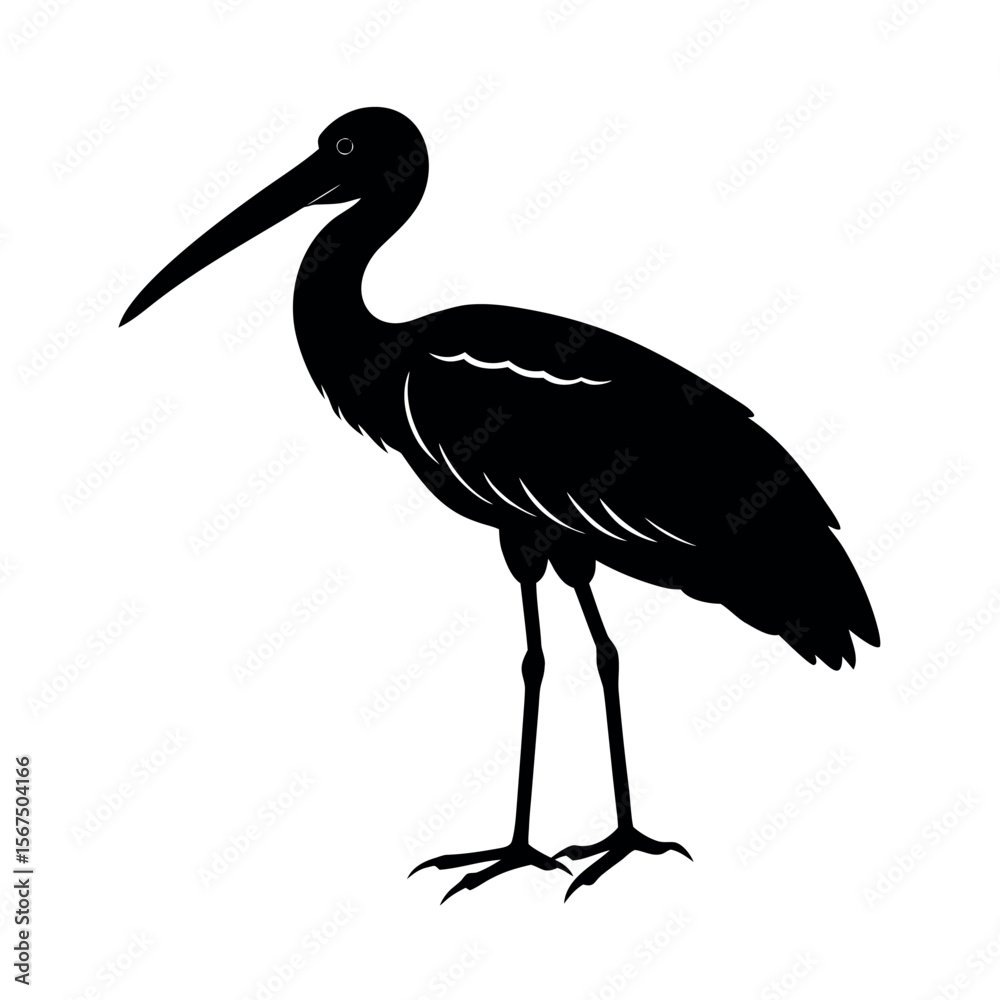 Obraz premium Asian Openbill Bird Silhouette Vector