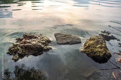 Three smooth rocks resting in calm water under soft daylight, creating a peaceful and minimalist composition. Ideal for wellness visuals, natural textures, and meditative backgrounds