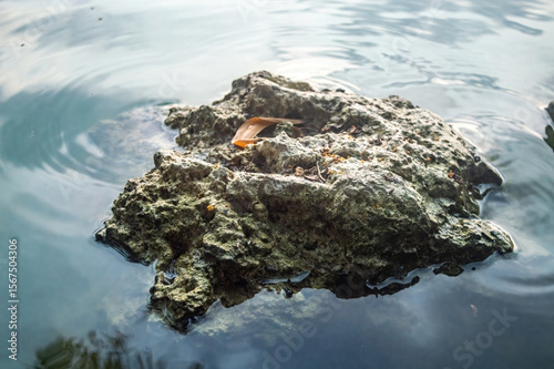 Close up of a wet stone partially submerged in calm water, with a single green leaf resting on top evoking simplicity, stillness, and balance. Ideal for zen visuals, and natural textures