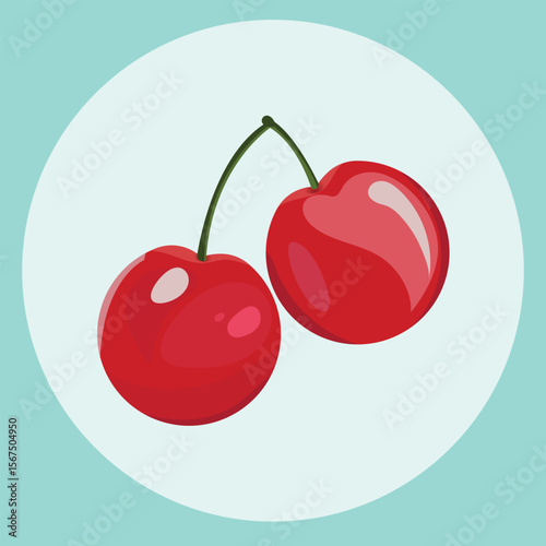 Cherry fruits vector illustration on isolated background