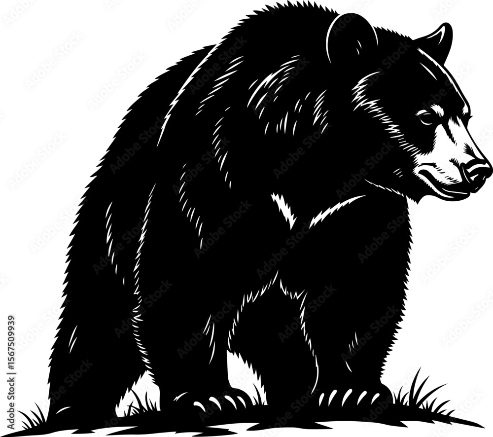 Fototapeta premium Majestic Black Bear Silhouette Vector Graphic Walking Through Grass Wildlife Animal Illustration