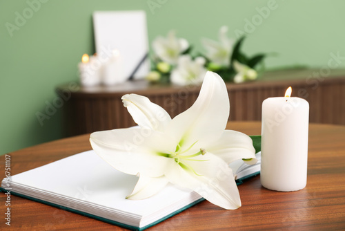 Beautiful lily flower, burn...