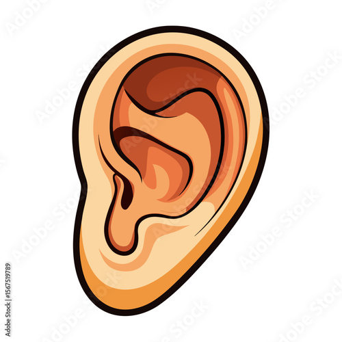 Human ear with warm tones and bold outlines human anatomy hearing