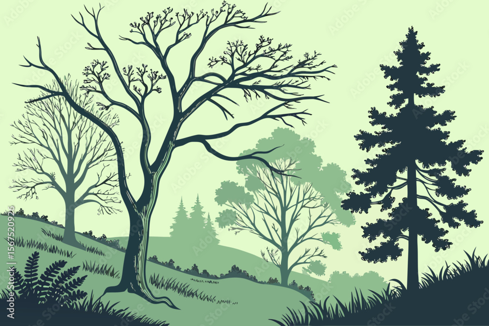 Obraz premium Stylized illustration of a natural landscape with a variety of trees, including deciduous and evergreen, showcasing different seasons and foliage, suitable for environmental themes.